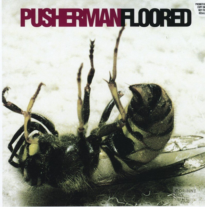 Pusherman — Image 3 of 32